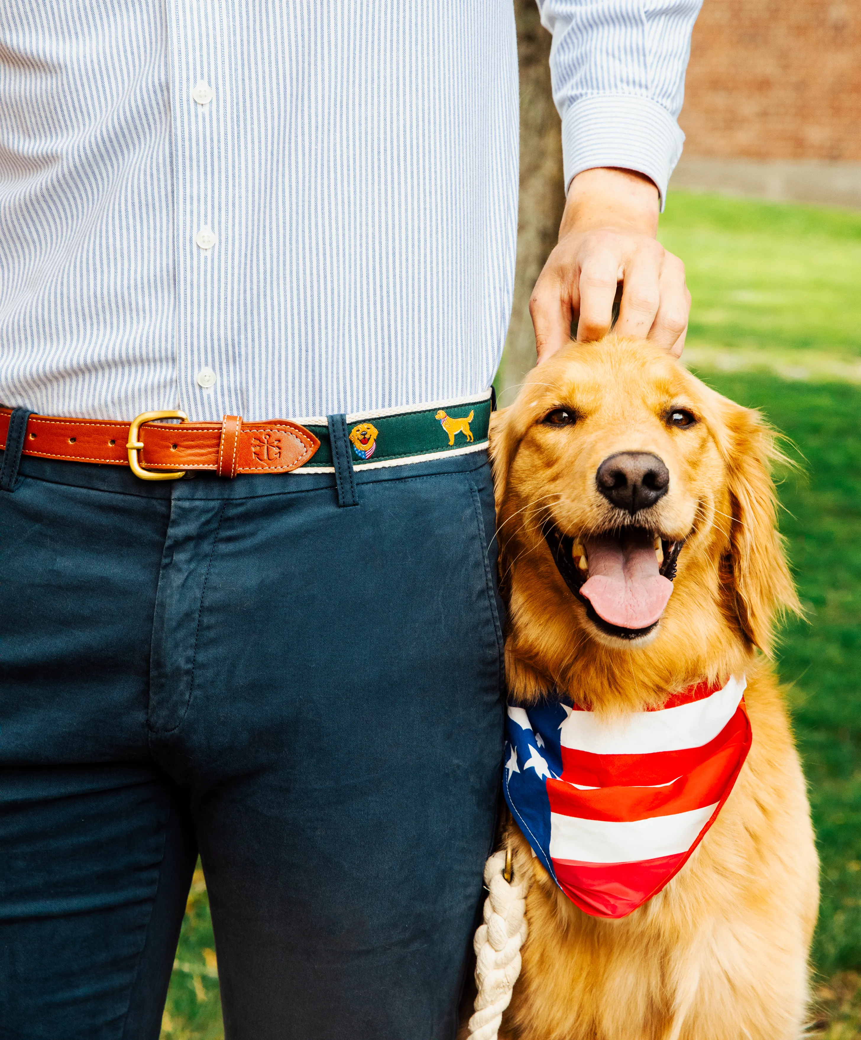 All American Retriever Ribbon Belt