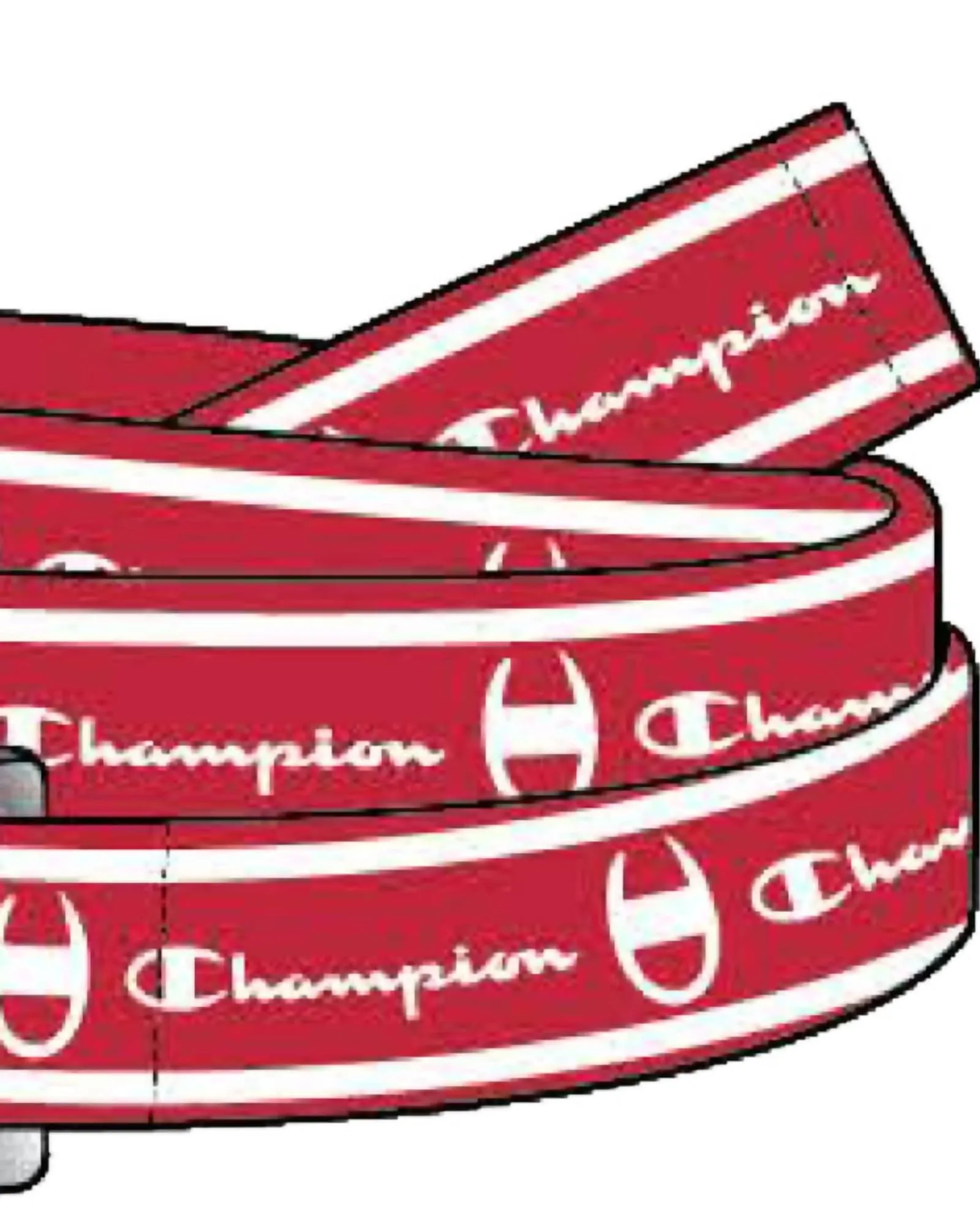 Cadet D Ring Belt - Ch3013 In Medium Red | Medium Red