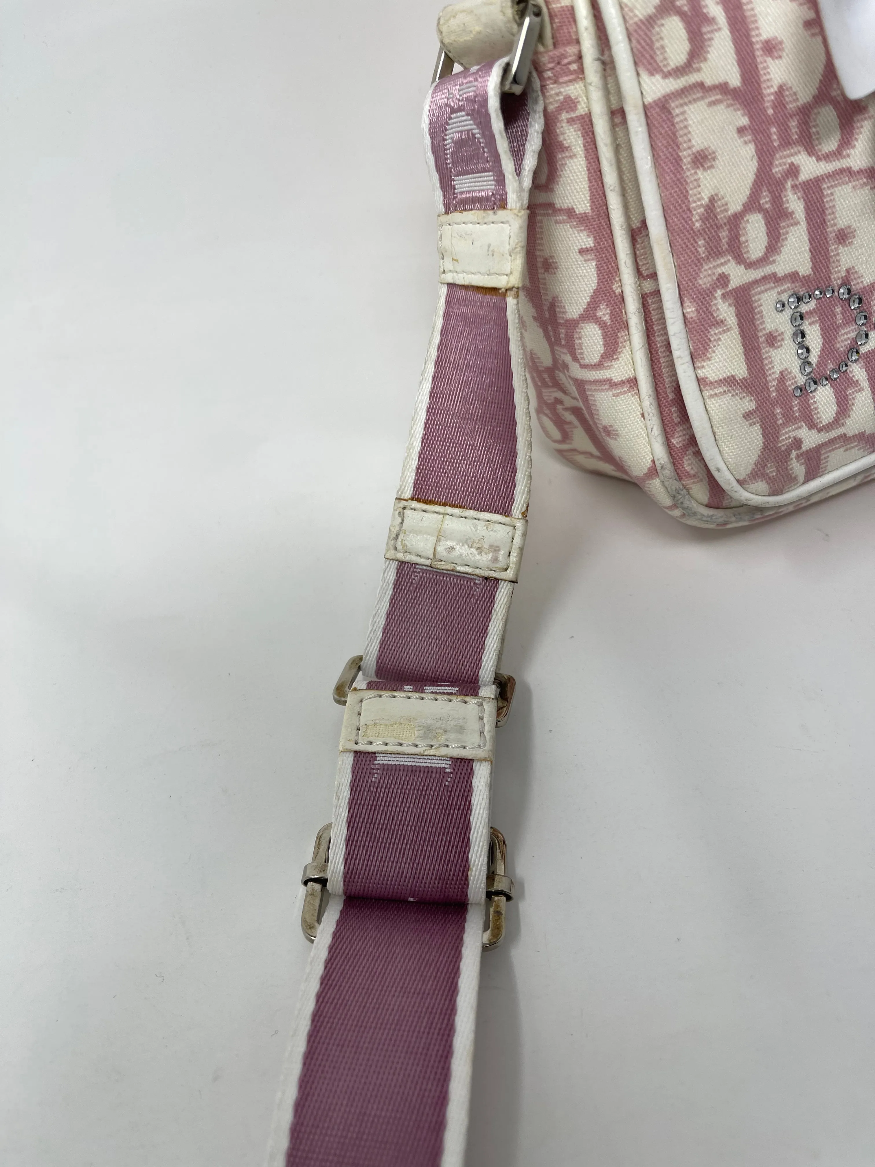 Christian Dior Pink Floral Trotter Oblique Crossbody Bag!