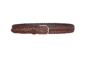 Palisade Belt in Brown